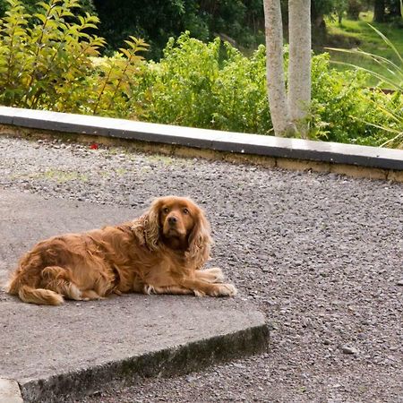 Mountain View B&B Lauragh 外观 照片